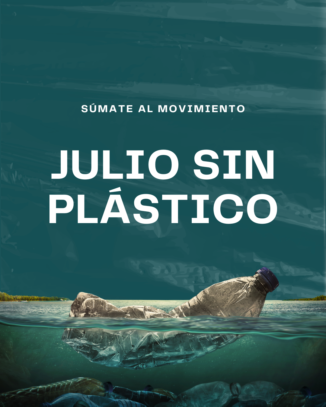 Julio sin Plástico: Una oportunidad para transformar nuestros hábitos