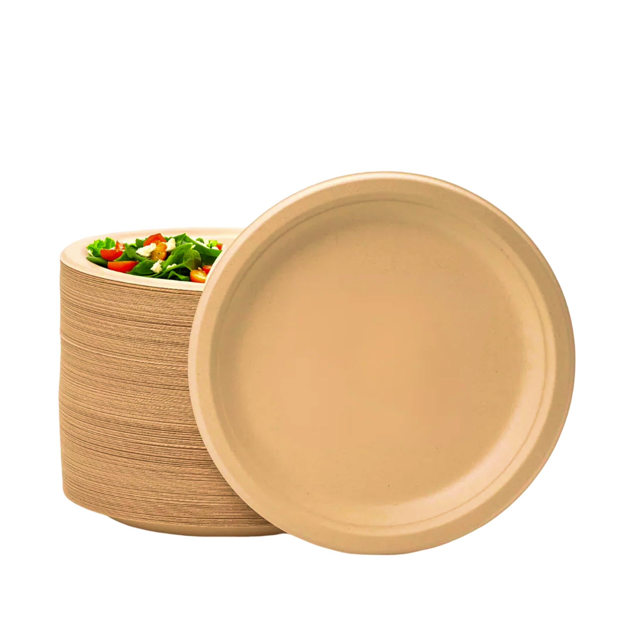 Plato 9" (200 pzs)